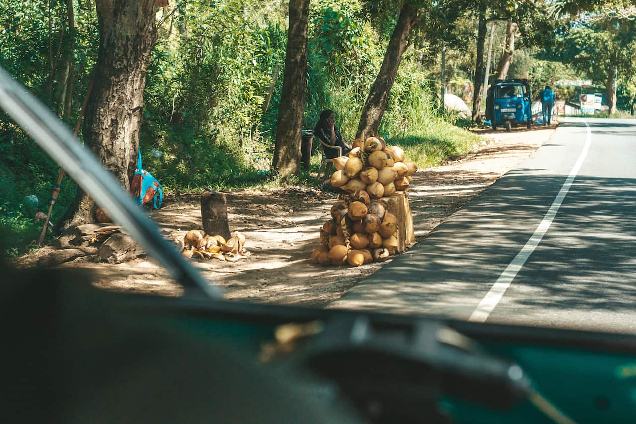 Sri Lanka Coconut Country photo by Filiz Elaerts.jpg