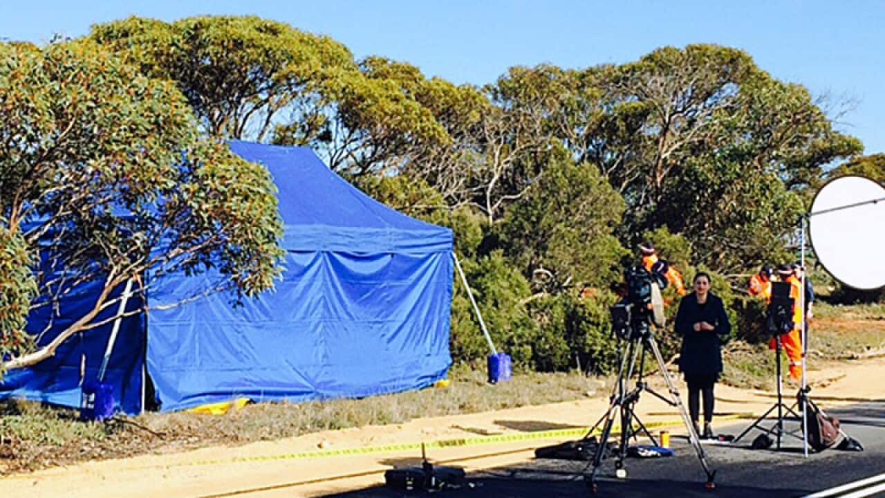A tent covering a search area for a child's bones
