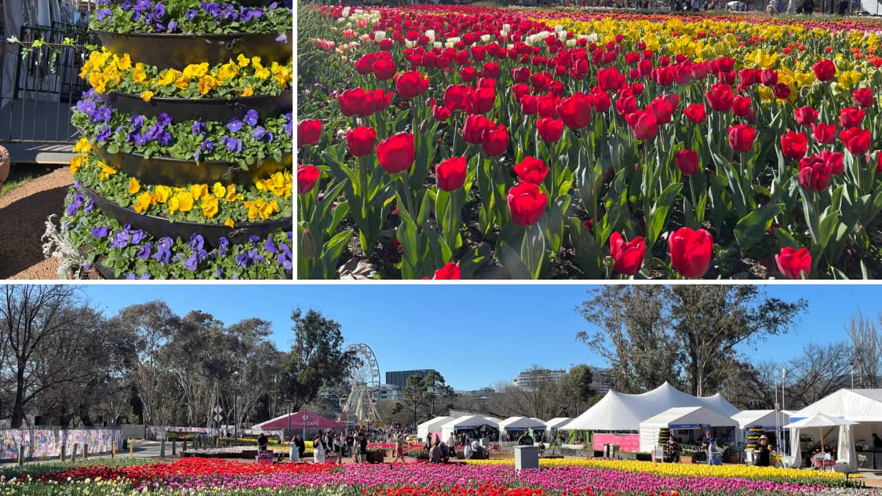 Image for read more article '最近のエピソード'