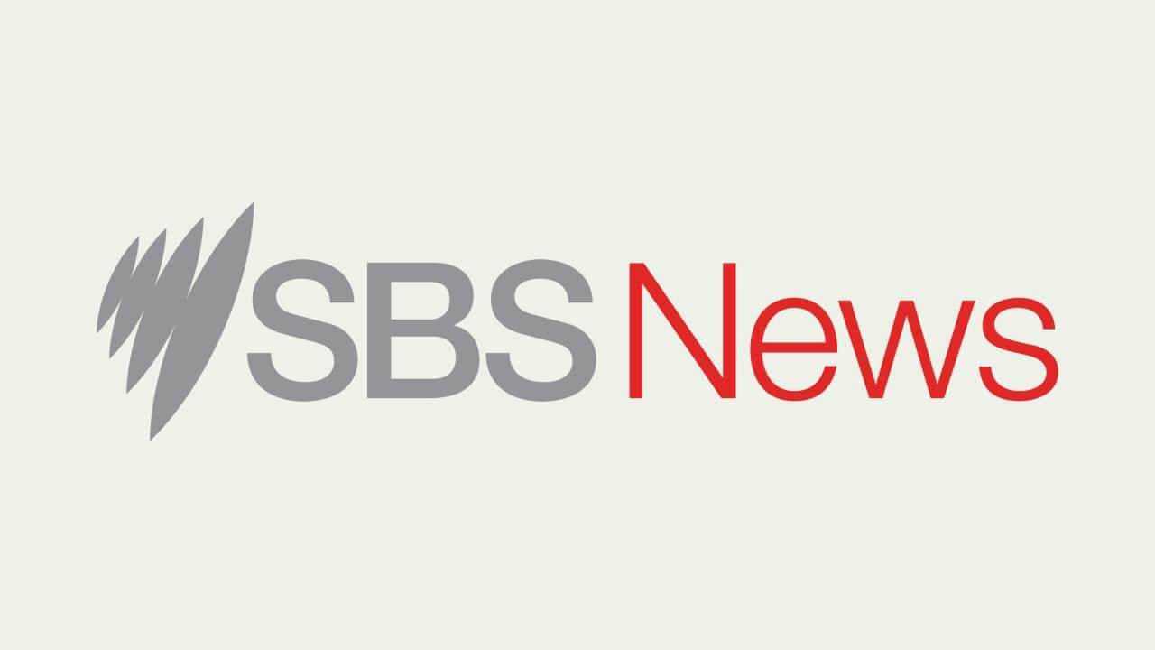PODCAST SBSNEWS 3000x3000.jpg
