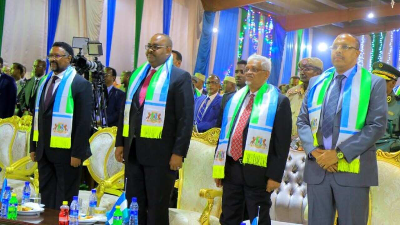 Puntalnd leaders