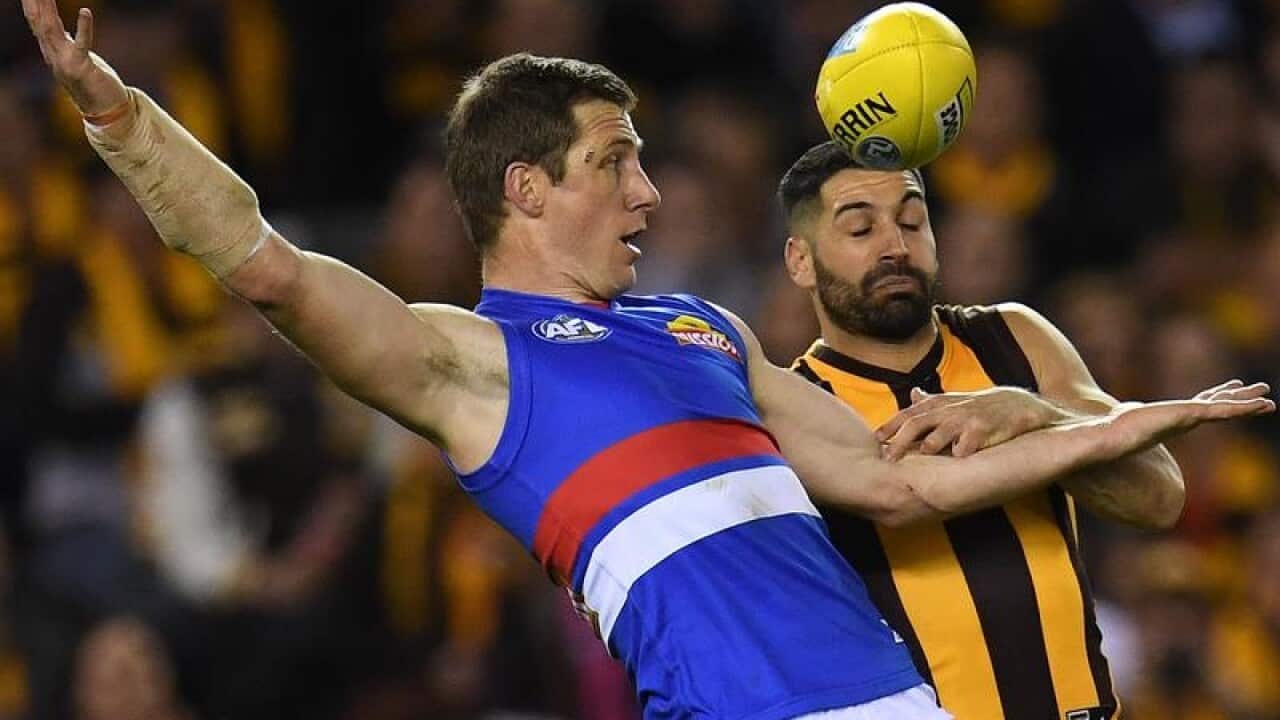 Dale Morris of the Bulldogs