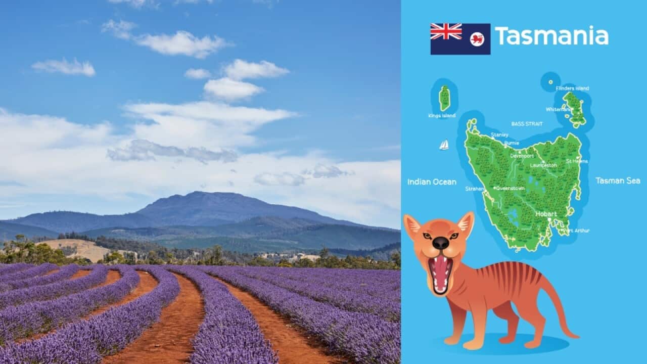Tasmania