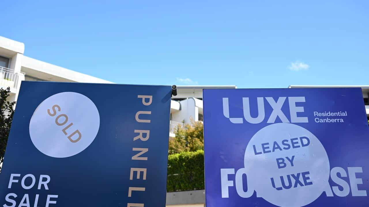 LEASE SIGN STOCK