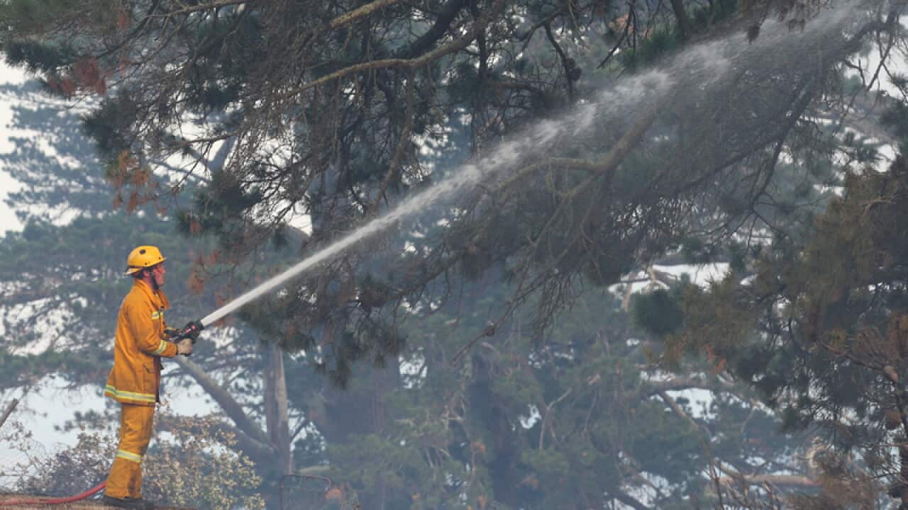 Firefighters work to contain a bushfire.