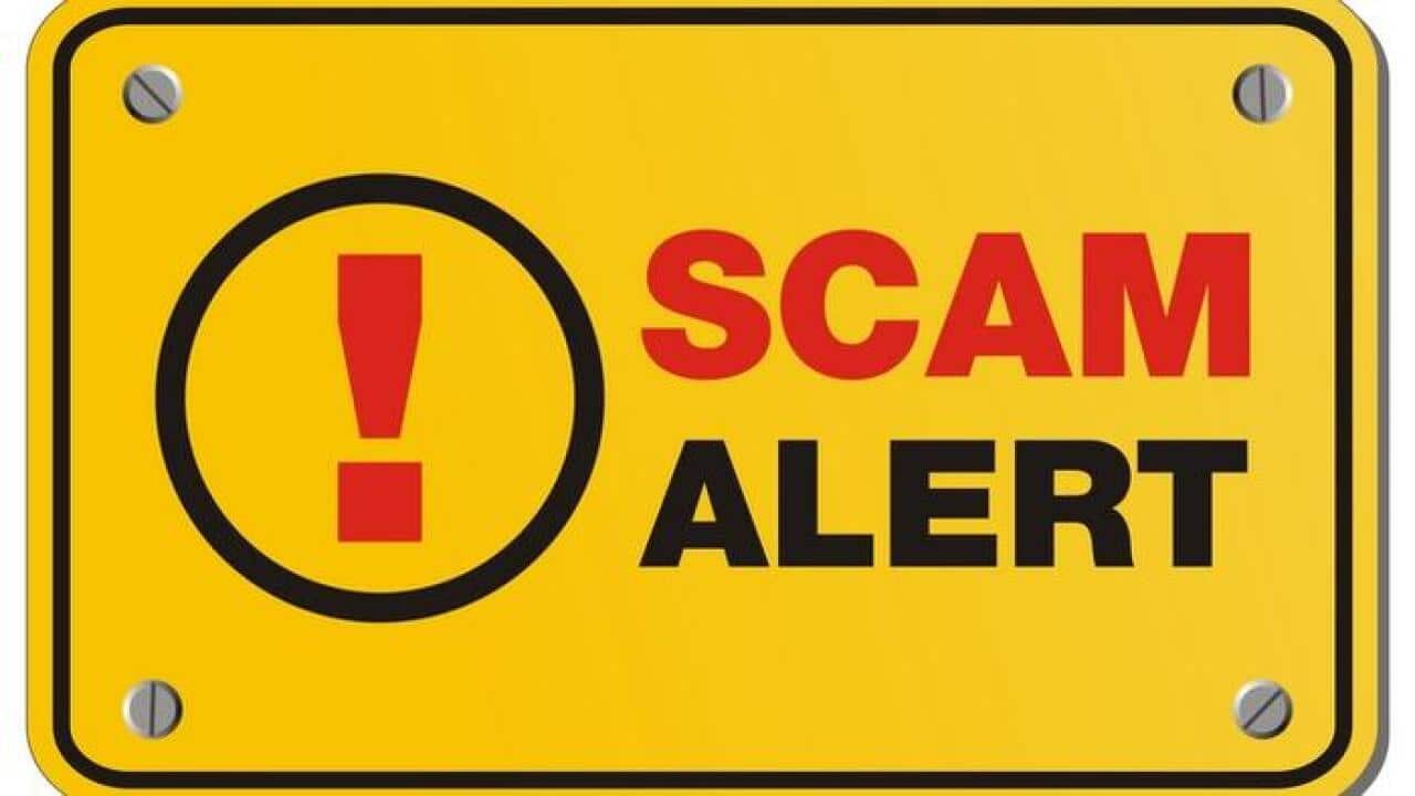 scam alert yellow sign - rectangle sign