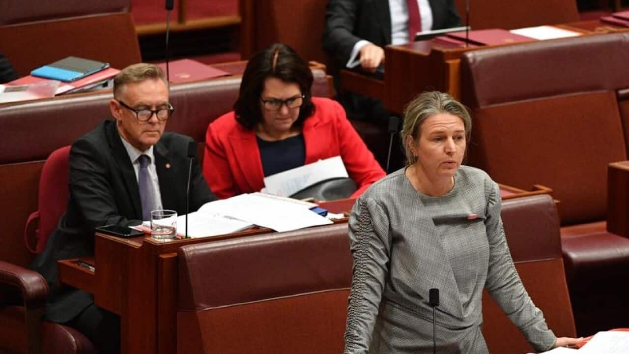 Labor Senator Louise Pratt hands down the senate report