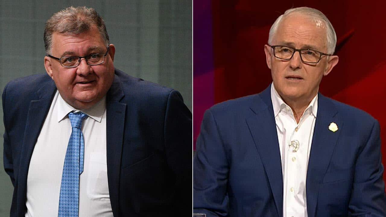 Former Prime Minister Malcolm Turnbull has in a series of tweets expressed his views on the candidacy of Craig Kelly.