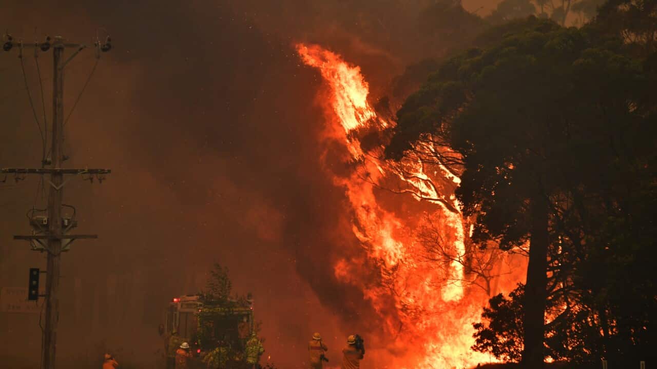 A fire truck is seen during a bushfire near Bilpin, 90km north west of Sydney, Thursday, December 19, 2019. (AAP Image/Mick Tsikas) NO ARCHIVING