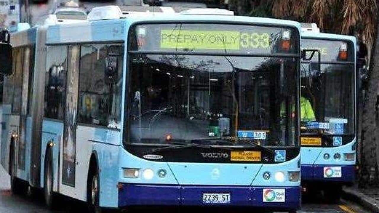 Sydney buses