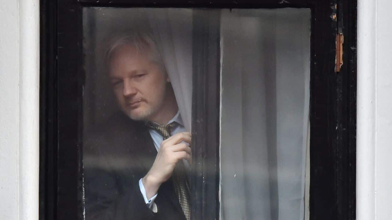 Assange