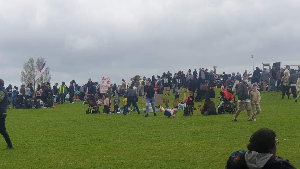 Anti-lockdown protesters at Auckland Museum.