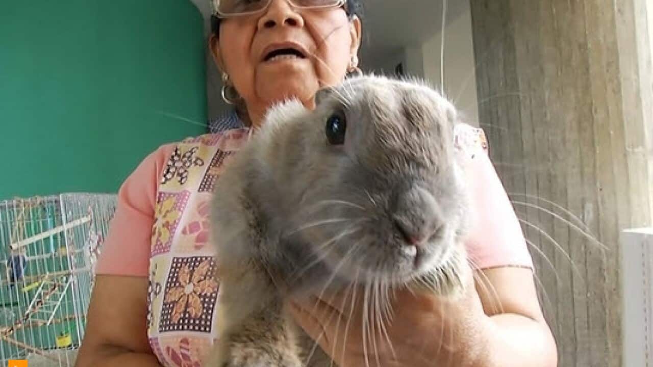 A Venezuelan woman shows off her rabbit