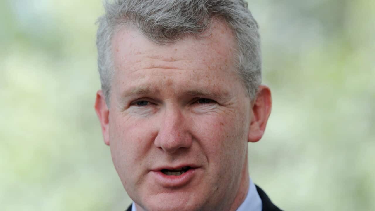 Opposition immigration spokesman Tony Burke
