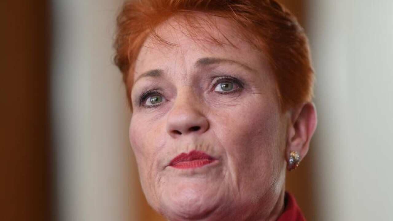 One Nation leader Pauline Hanson