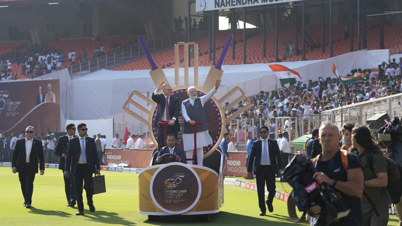 India Australia Cricket