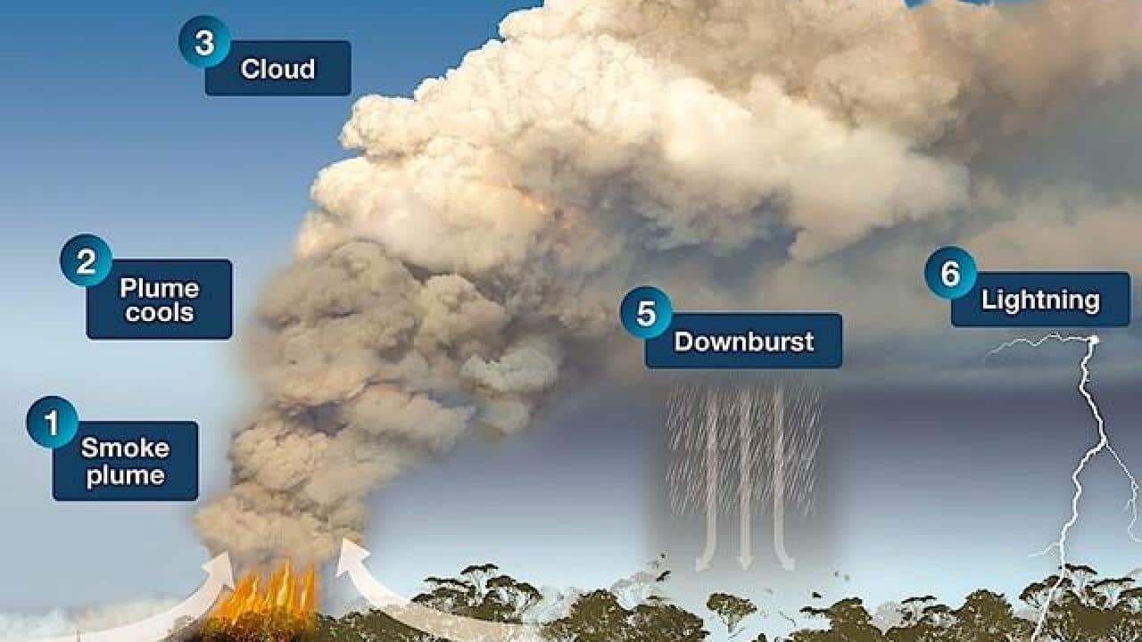 The stages of development of a pyrocumulonimbus cloud