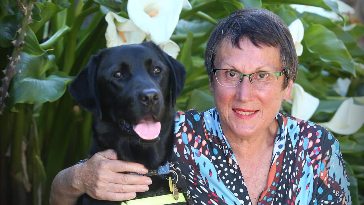 Image for read more article 'You can find more stories here'