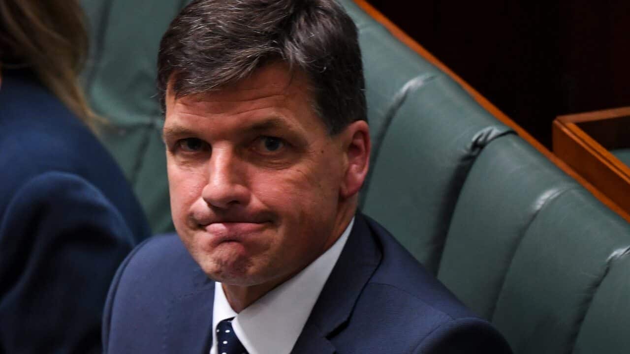 Australian Energy Minister Angus Taylor reacts during House of Representatives Question Time at Parliament House in Canberra, Tuesday, November 26, 2019. (AAP Image/Lukas Coch) NO ARCHIVING