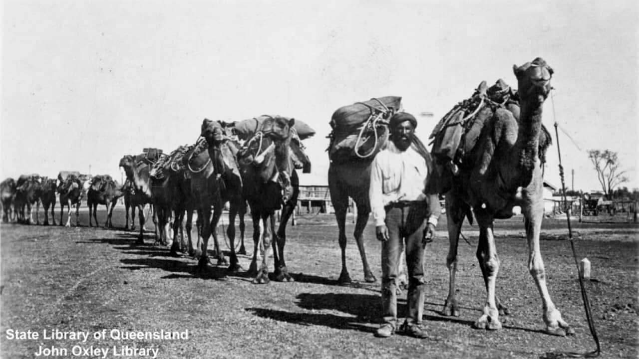 Image for read more article 'نور راپورونه:'