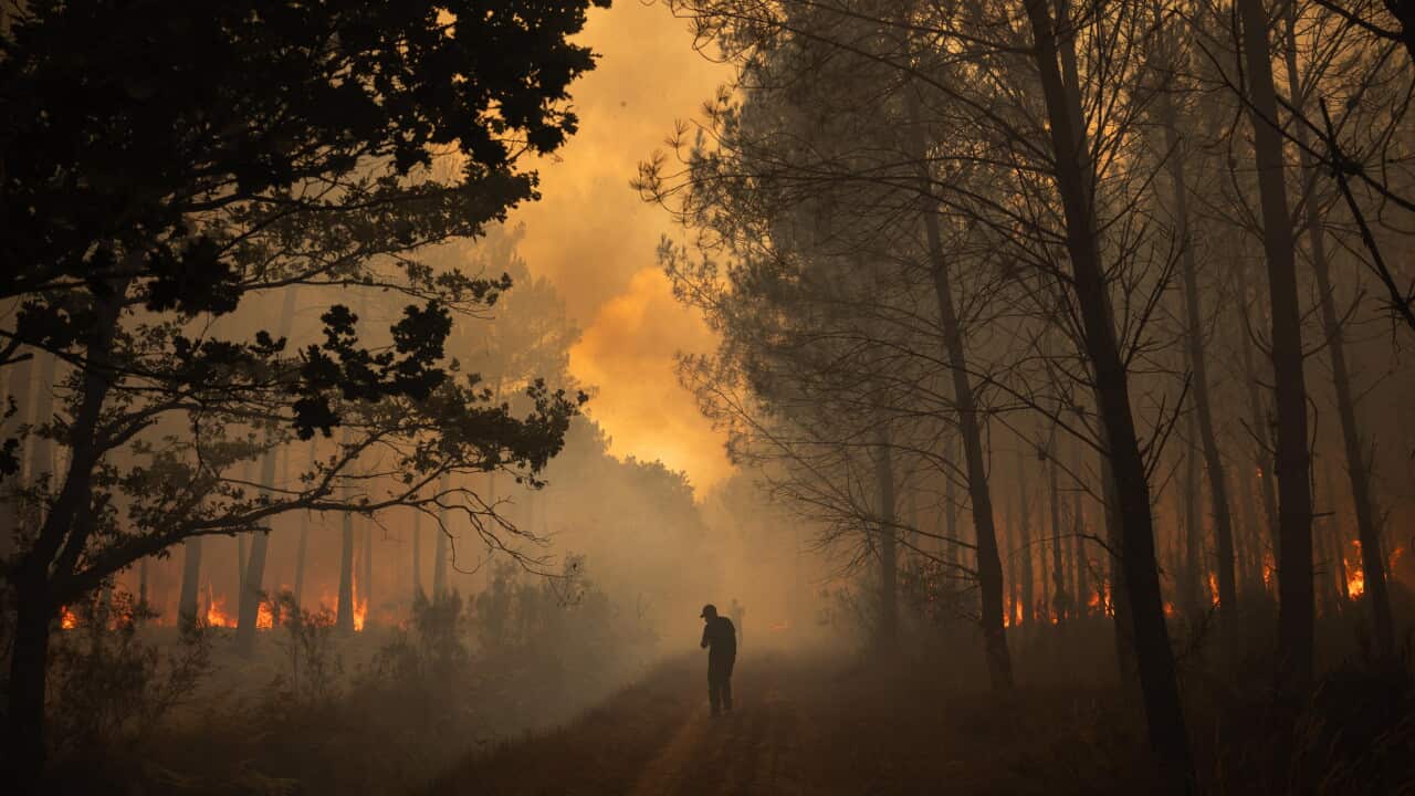 Two figures on a smoky, wooded path. Fires burn on either side of the path, the smoke darkening the sky above.