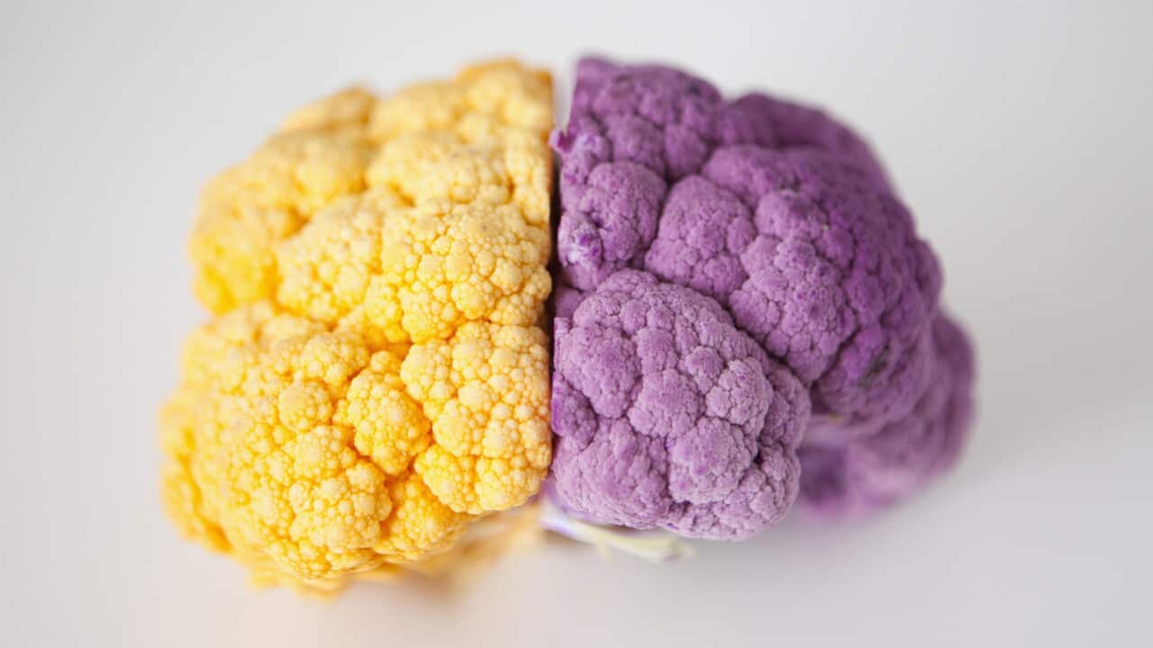 The key to diet success could be in the brain's build, according to international researchers.