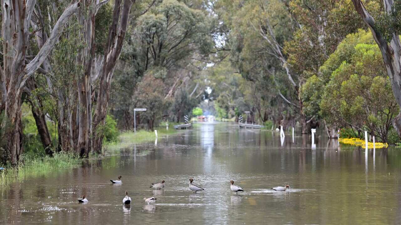 VIC FLOODS
