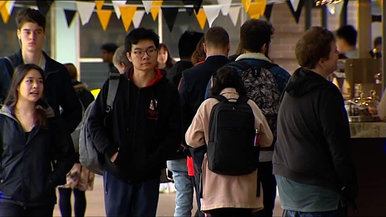 【簽證新辣招】「臨時簽證者」被禁境內轉「學生簽證」