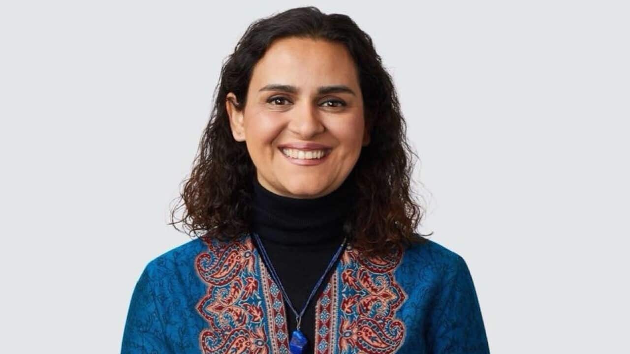 Rana Ebrahimi.jpeg