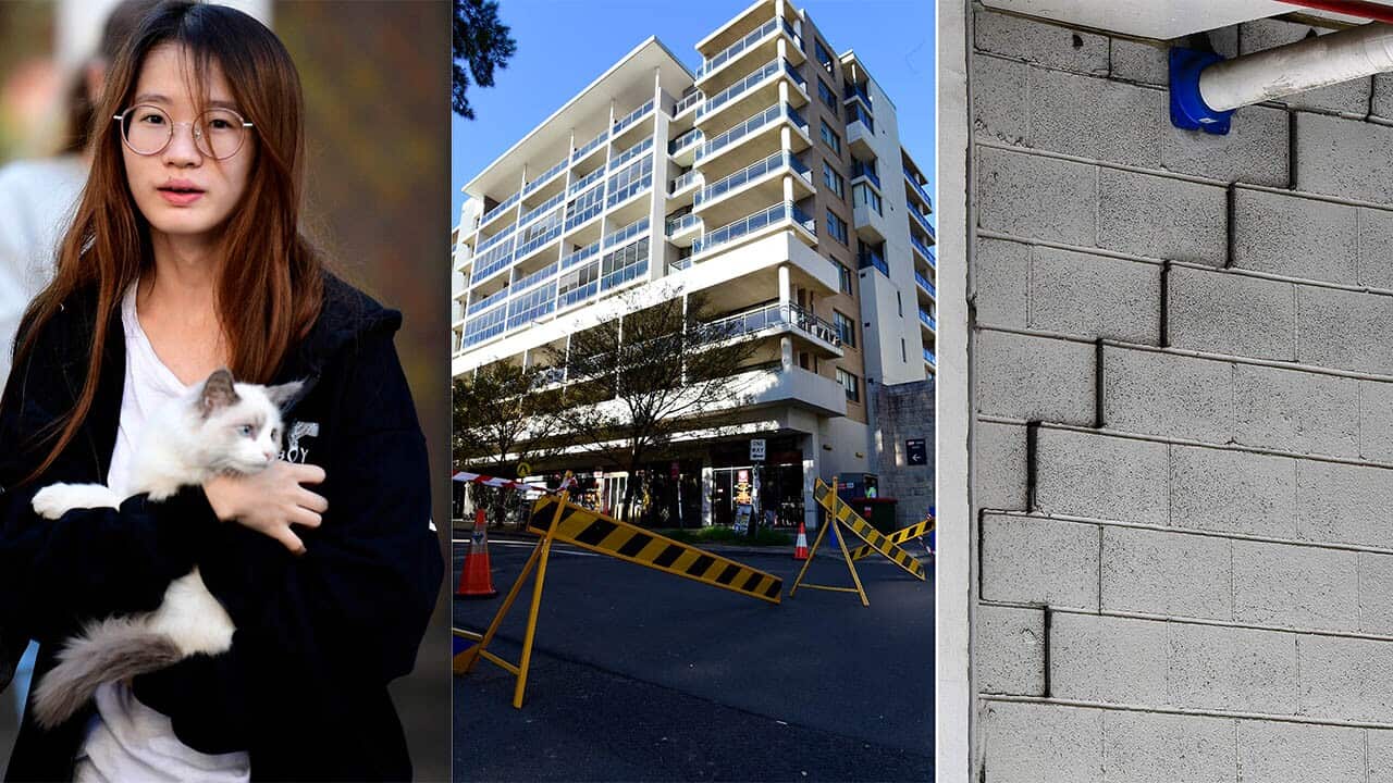 Engineers Australia said cracks appearing in a unit complex in Sydney is further evidence that changes are needed in the building and construction sector.