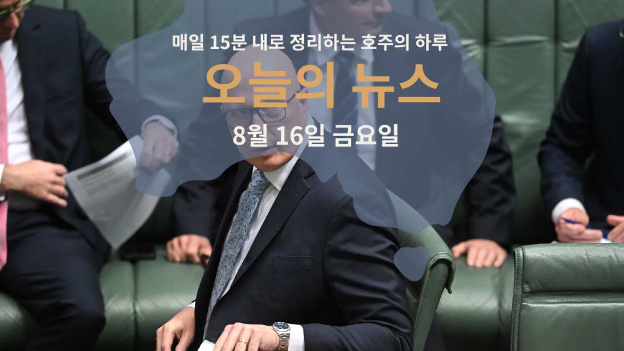 15news16web.png