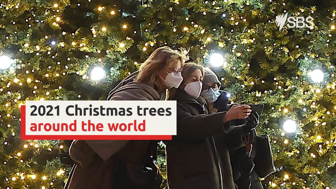 Christmas trees light up around the world as the festive season begins