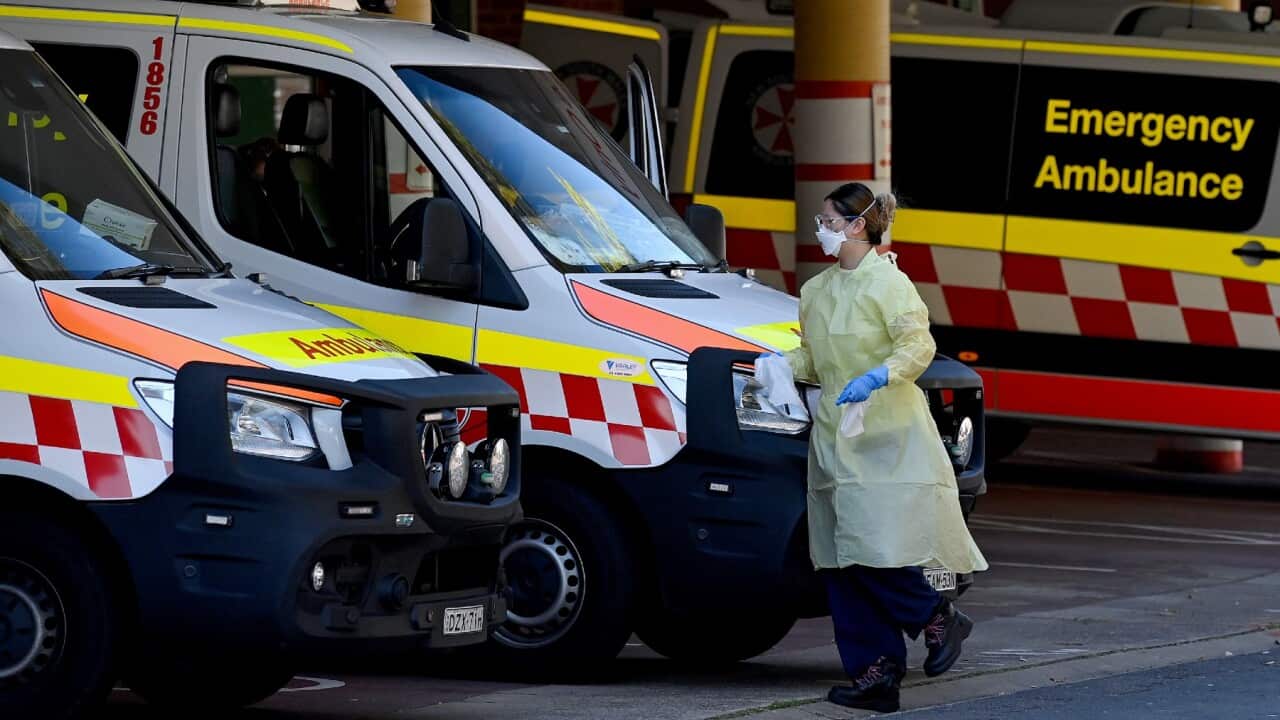 NSW health system is "struggling" as COVID-19 hospital cases rise and health workers fall sick