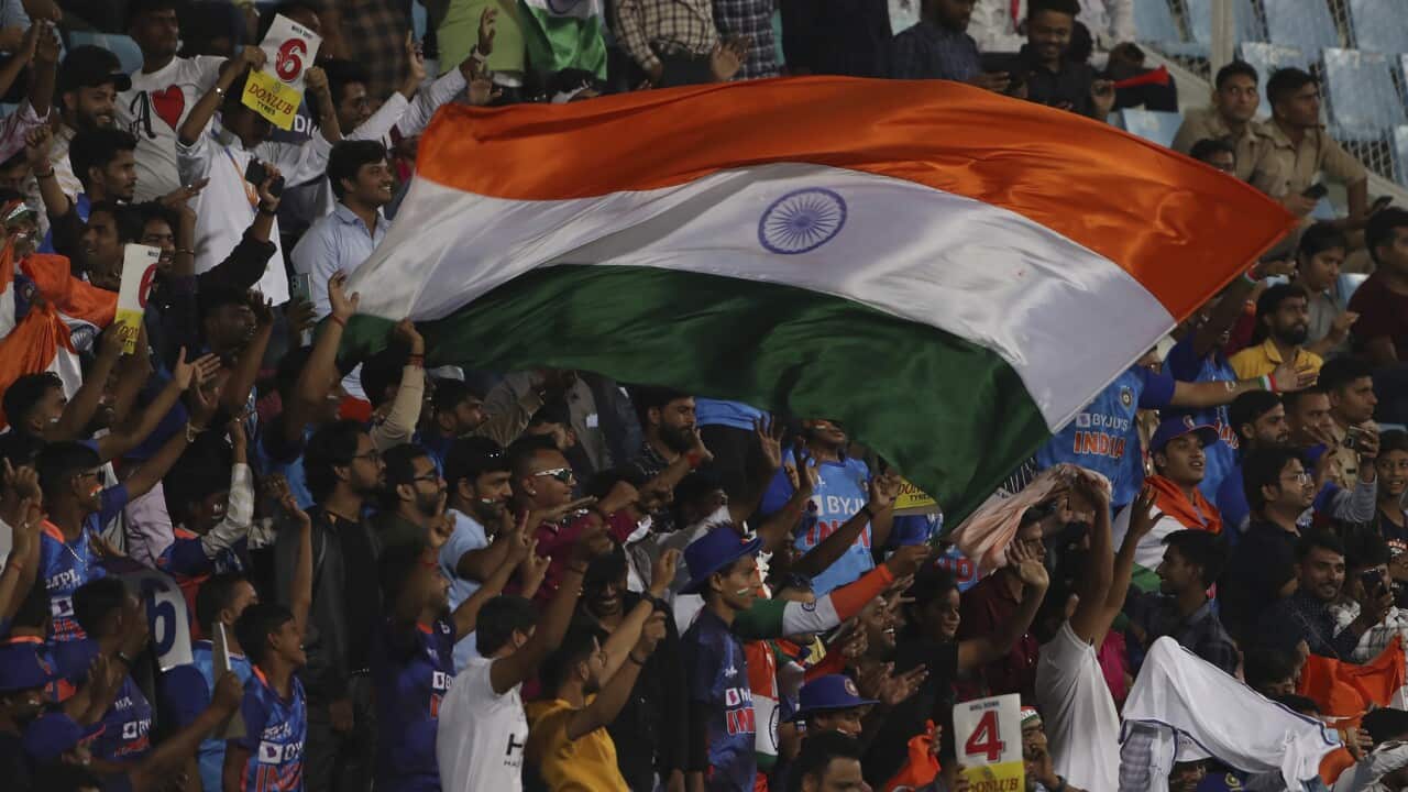 India South Africa Cricket