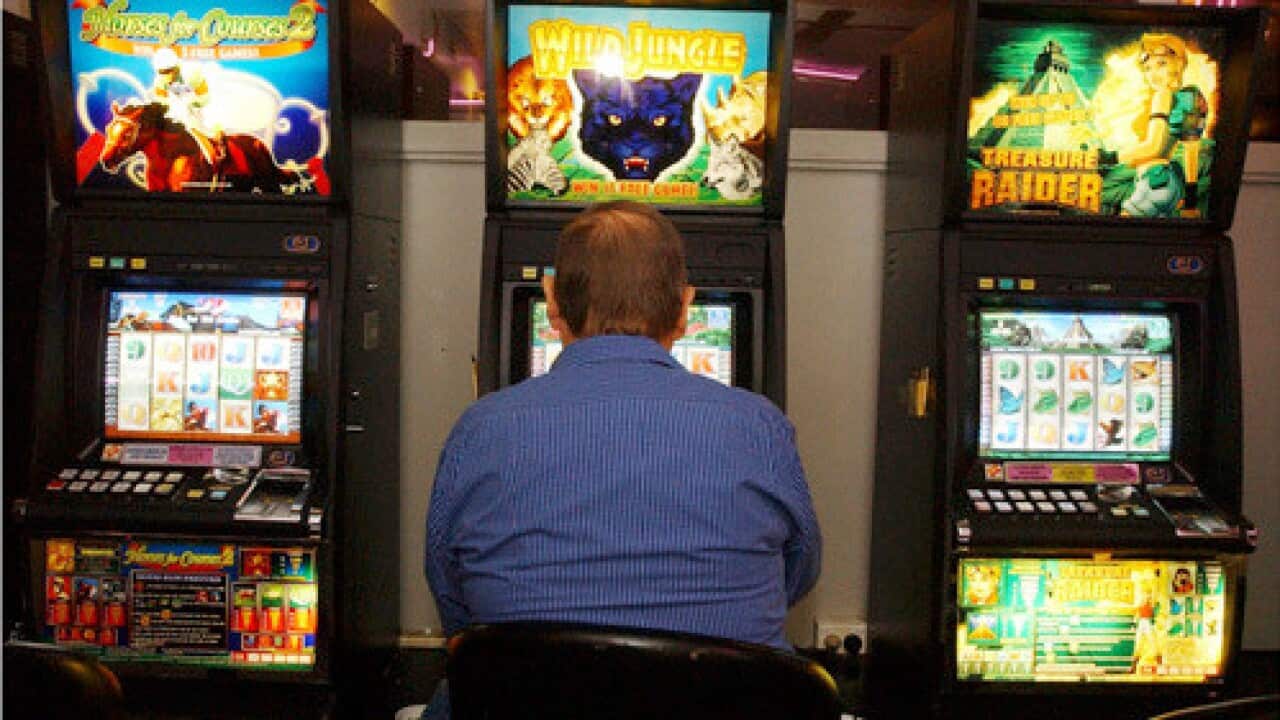A punter playing the poker machines in a Sydney club