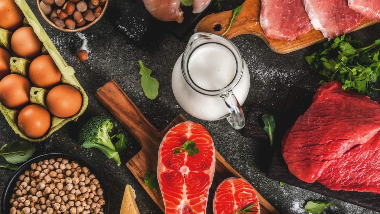 Selection of protein sources food