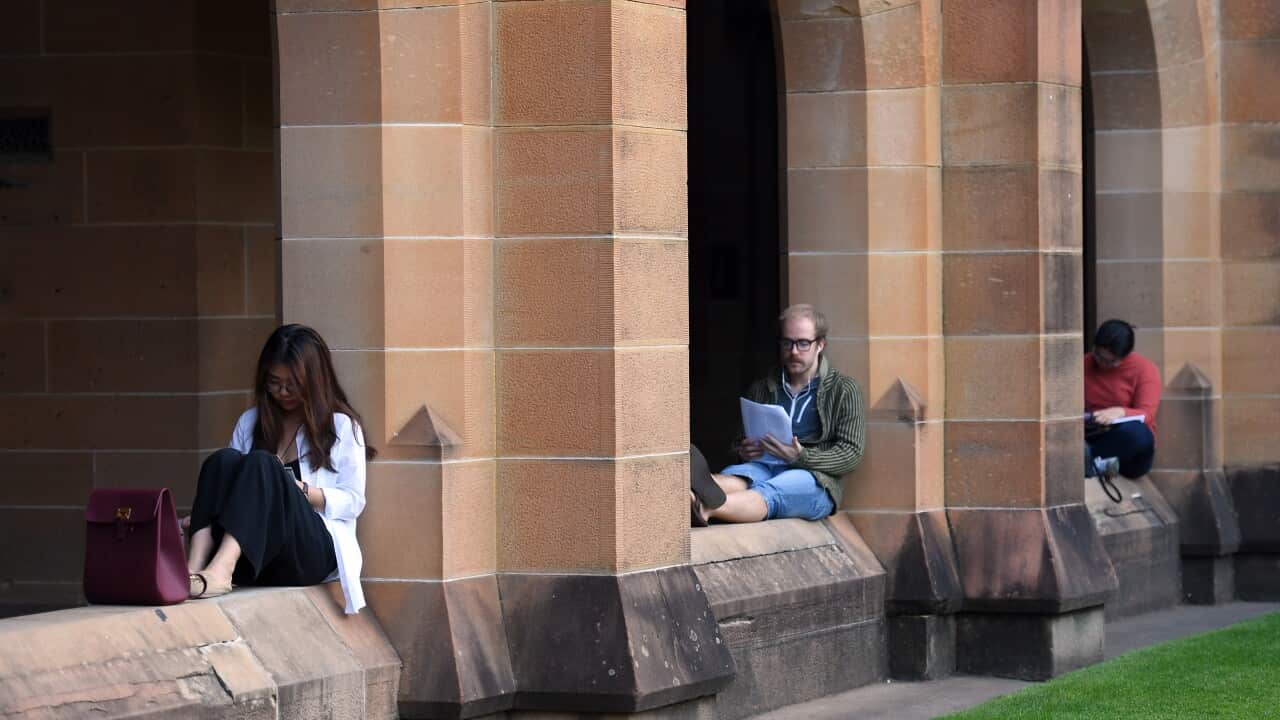 UNIVERSITY STUDENT STOCK