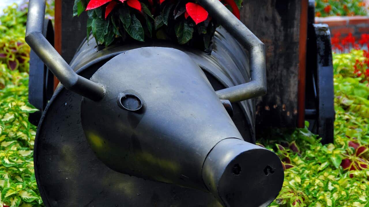 Image for read more article ''