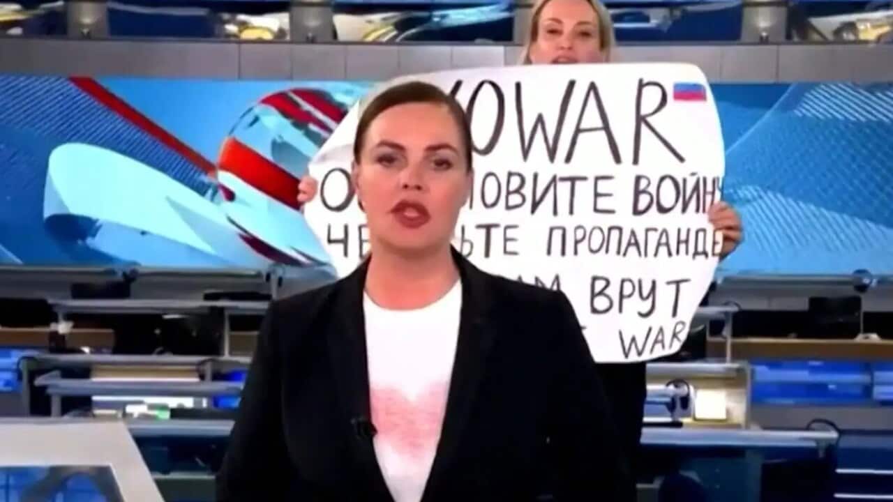 Image for read more article 'Previous News Bulletins'