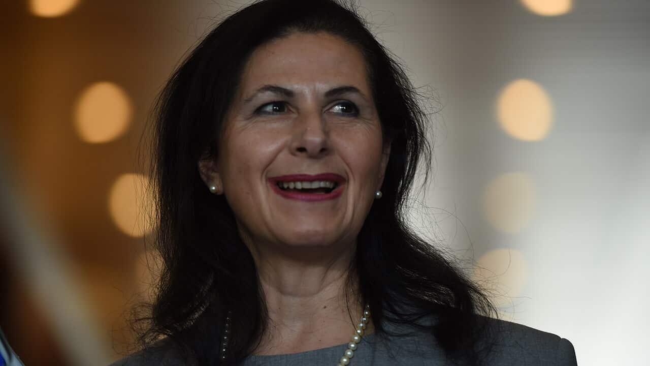 Assistant Minister for Multicultural Affairs