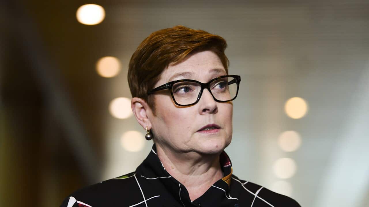 Australian Foreign Minister Marine Payne speaks during a press conference at Parliament House in Canberra, Monday, October 26, 2020. (AAP Image/Lukas Coch) NO ARCHIVING