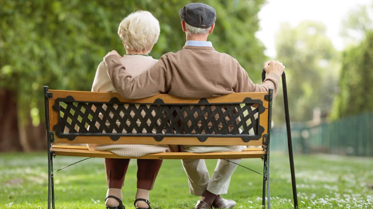Senior couple sitting on a wooden bench in a park
