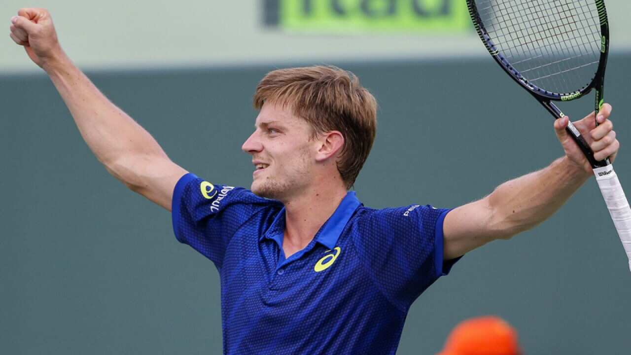 Belgian tennis player David Goffin