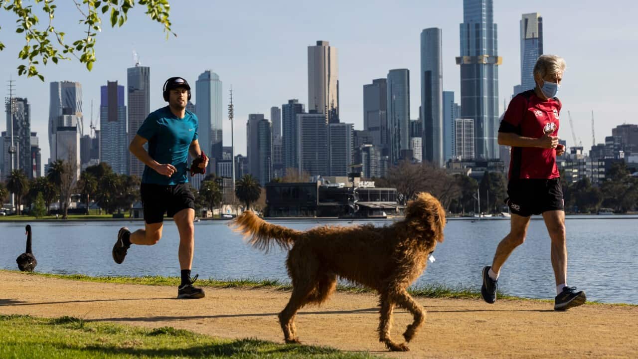 Image for read more article ''