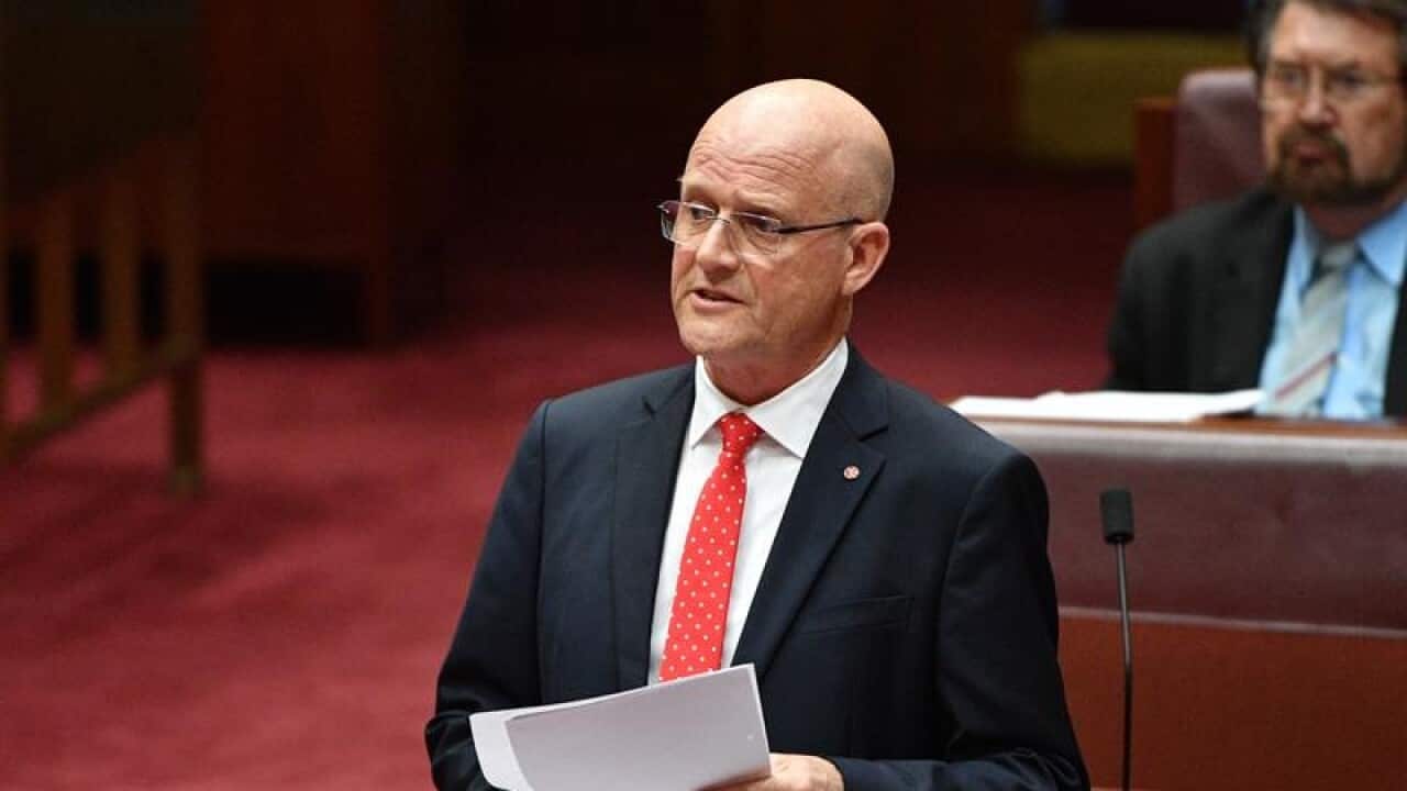 Liberal Democratic Party Senator David Leyonhjelm in parliament.