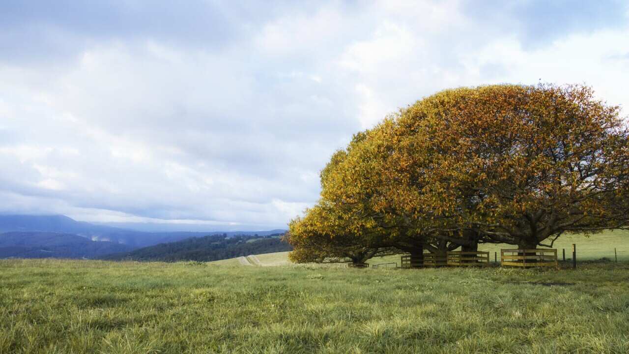 Best places to visit in Australia in March.