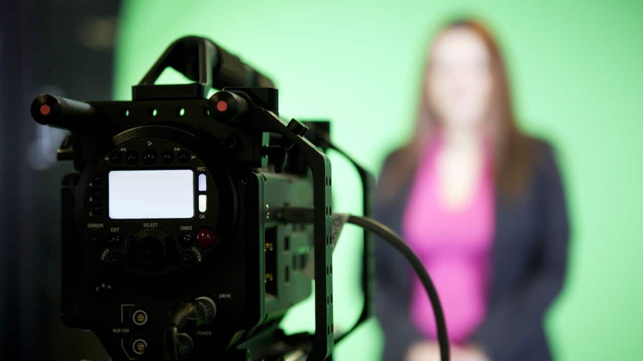 News Presenter on Green Screen