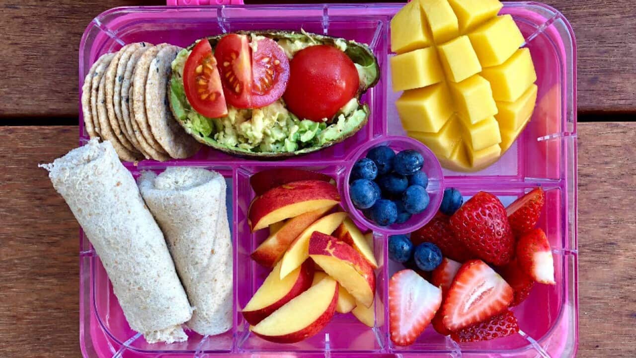 School Lunch Box