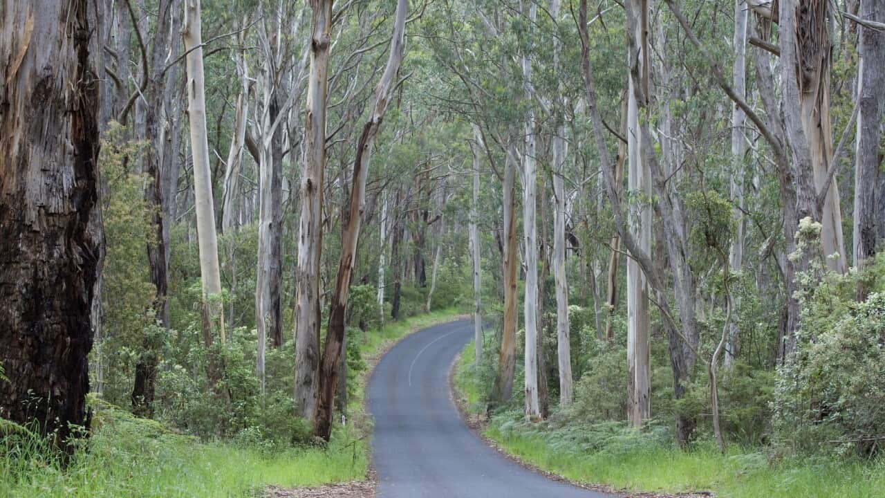 Image for read more article ''