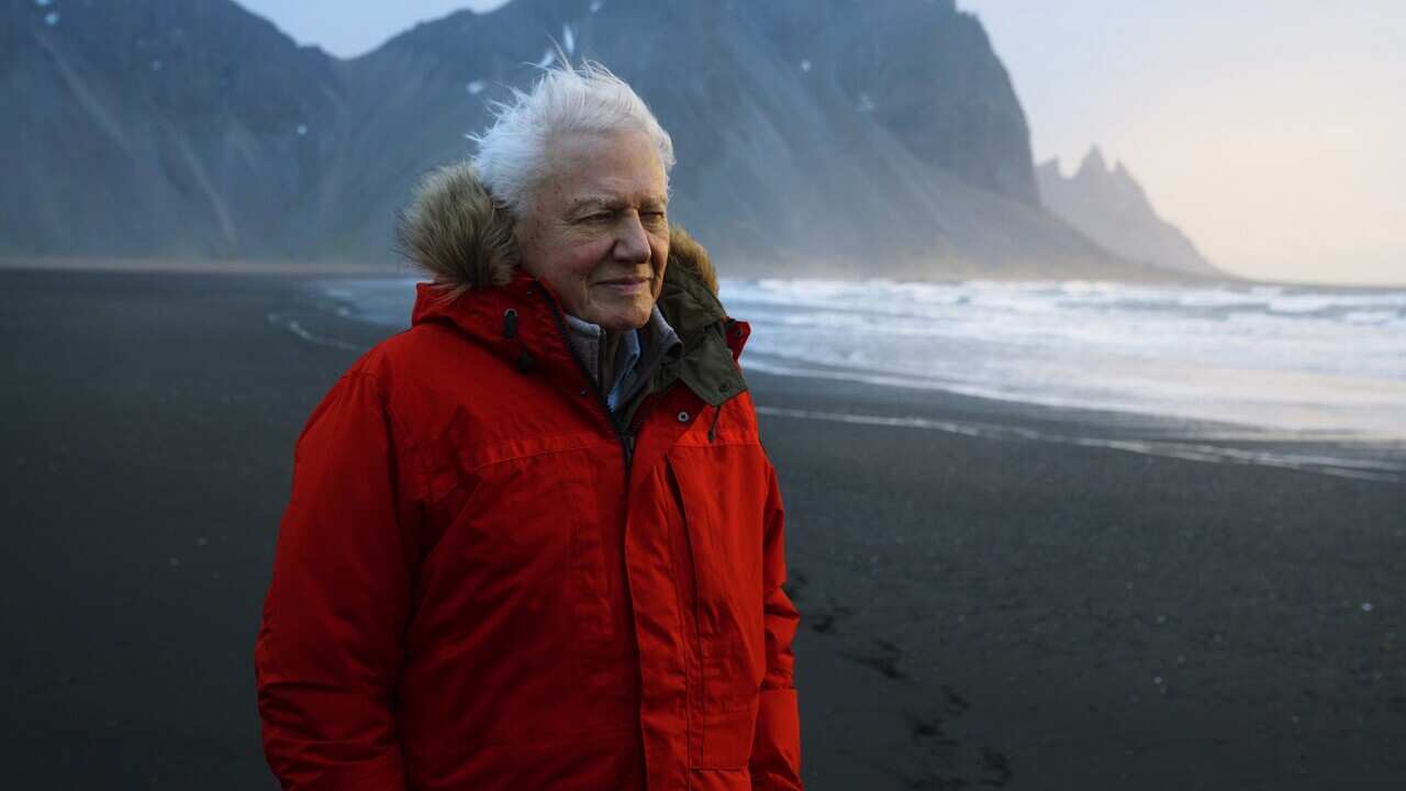 David Attenborough in Iceland.